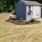 exterior photo of landscaping shrubs surrounding shed