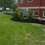 exterior photo of landscaping shrubs outside building